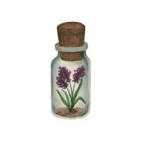 Glas klein Krug mit Dorf Provence Lavendel und Kork Abdeckung. Hand gezeichnet Aquarell Clip Art vektor