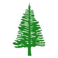 Weihnachten Baum Gruß Karte Hintergrund. Grün Farbe Baum isoliert Vektor