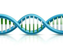 3d realistisch Vektor Symbol von DNA. medizinisch Konzept und Element.