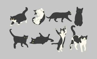 grupp svart katt vektor