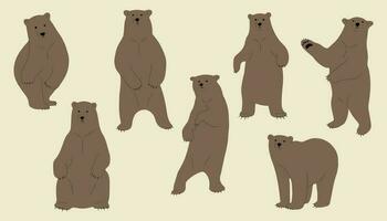 Grizzly Bär süß Gruppe vektor