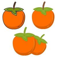 persimon färg vektor ikon. orange kaki frukt ikon. persimonsymbol. en platt vektor enkel del av sharon illustration, isolerad på vit bakgrund