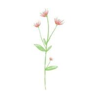 botanisch Blatt Gekritzel Wildblume Linie Kunst vektor