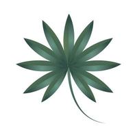 Zweig Laub Ökologie Pflanze Natur Symbol isoliert vektor