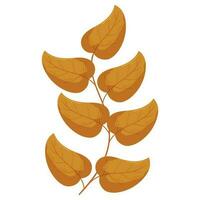 Herbst Wald Blatt Ast Illustration. vektor