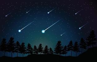 meteor på natten i skogsscenen vektor