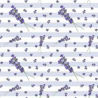 sömlös mönster med lavendel- blommor och grenar. ändlös violett blommig bakgrund med Ränder. Semester omslag papper, provence bröllop stil, tapet, baner, dekorativ mall. vektor