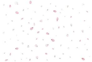 Sakura fliegend Blütenblätter, romantisch Hintergrund. vektor