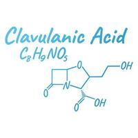 Clavulansäure Acid Antibiotikum chemisch Formel und Komposition, Konzept strukturell medizinisch Arzneimittel, isoliert auf Weiß Hintergrund, Vektor Illustration.