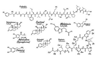 mänsklig stor uppsättning hormon begrepp kemisk skelett- formel ikon märka, text font vektor illustration, isolerat på vit. periodisk element tabell.