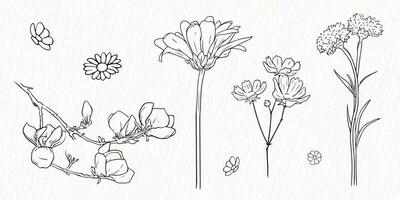uppsättning av försenad snäll av blommor linje teckning ClipArt vektor