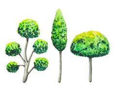 Sammlung von Grün Bäume, Aquarell vektor