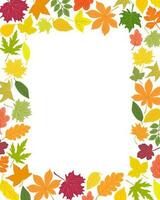 Herbst Blätter rechteckig Rahmen einfach Vektor minimalistisch Konzept eben Stil Illustration, mehrfarbig natürlich Blumen- Anordnung zum Einladungen, Gruß Karten, Broschüre, Herbst Urlaub d