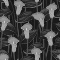 schwarz Vektor nahtlos Hintergrund mit Blühen grau Calla Lilien