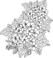 jordviva bukett, av blomma design för kort eller skriva ut. handmålad blomma illustration isolerat på vit, graverat bläck konst blommig färg sidor, och böcker för skriva ut, Söt blomma färga sidor vektor