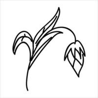 Blume Illustration mit isoliert handgemalt Stil auf ein Weiß Hintergrund, geeignet zum Kinder zu zeichnen abstrakt Illustrationen. vektor