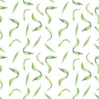 handflatan löv av acai träd vattenfärg sömlös mönster isolerat på vit. grön brunch av tropisk handflatan, exotisk blad hand ritade. design element för omslag, förpackning, textil, bakgrund, papper vektor