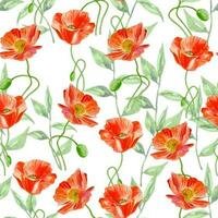 vattenfärg blommig sömlös mönster röd vallmo för servetter, textur, dekor vektor