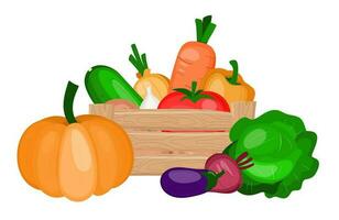 Gemüse im ein hölzern Kasten. Ernte Festival. gesund Lebensmittel. Vektor Illustration isoliert auf Weiß Hintergrund.