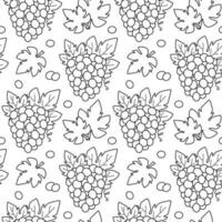 nahtlos Linie Muster mit Trauben von Trauben. Kontur Vektor Illustration mit Frucht. schwarz und Weiß Hintergrund mit Beeren von Trauben und Blätter.