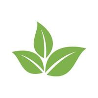 Grün Blatt Vektor, Öko Blätter Spa Logo Vorlage vektor