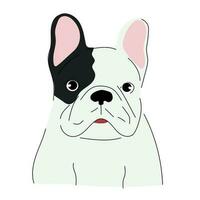 söt klotter illustration av en franska bulldogg. isolerat på vit. vektor