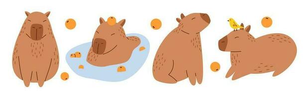 vektor samling av rolig capybaras i platt design. rolig uppsättning med capybara tecken med apelsiner. söt capybaras simning i vatten och avkopplande. söder amerikan förtjusande djur.