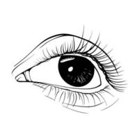 Hand gezeichnet skizzieren Auge vektor