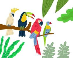 annorlunda typ av exotisk fåglar. vektor platt tecknad serie grafisk design illustration