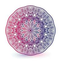 elegant bunt Mandala Hintergrund vektor