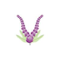 Lavendel Logo, lila Pflanze Vektor, Garten Design, Illustration Symbol Vorlage vektor