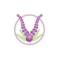 lavendel- logotyp, lila växt vektor, trädgård design, illustration symbol mall vektor
