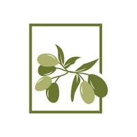 Olive Logo Design, Olive Öl Baum Vektor, einfach Illustration Vorlage vektor