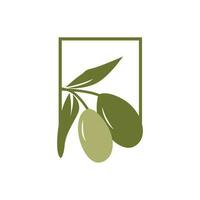 Olive Logo Design, Olive Öl Baum Vektor, einfach Illustration Vorlage vektor