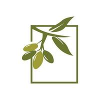 Olive Logo Design, Olive Öl Baum Vektor, einfach Illustration Vorlage vektor