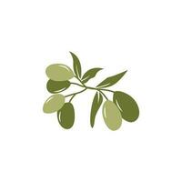 Olive Logo Design, Olive Öl Baum Vektor, einfach Illustration Vorlage vektor