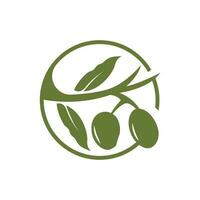 Olive Logo Design, Olive Öl Baum Vektor, einfach Illustration Vorlage vektor