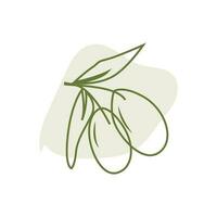 Olive Logo Design, Olive Öl Baum Vektor, einfach Illustration Vorlage vektor