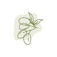 Olive Logo Design, Olive Öl Baum Vektor, einfach Illustration Vorlage vektor