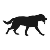 Hund Linie Symbol Vektor Illustration Symbol Design