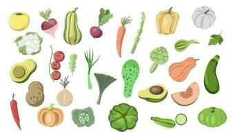 grönsaker illustration uppsättning samling vektor