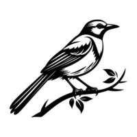Blau Jay Silhouette, Blau Jay Maskottchen Logo, Blau Jay schwarz und Weiß Tier Symbol Design, Vogel Symbol. vektor
