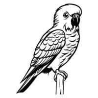 Wellensittich Silhouette, Wellensittich Maskottchen Logo, Wellensittich schwarz und Weiß Tier Symbol Design, Vogel Symbol. vektor
