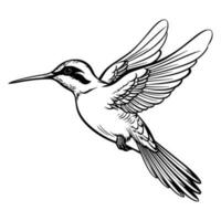 Kolibri Silhouette, Kolibri Maskottchen Logo, Kolibri schwarz und Weiß Tier Symbol Design, Vogel Symbol. vektor