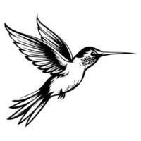 Kolibri Silhouette, Kolibri Maskottchen Logo, Kolibri schwarz und Weiß Tier Symbol Design, Vogel Symbol. vektor