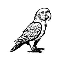 Papageien Silhouette, Papageien Maskottchen Logo, Papageien schwarz und Weiß Tier Symbol Design, Vogel Symbol. vektor