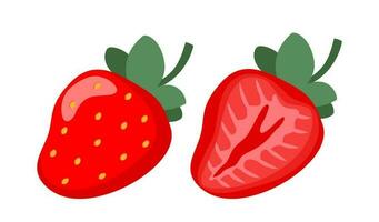 natürlich Erdbeere. frisch Bauernhof organisch Beere. saftig Süss Erdbeeren. Vektor Illustration.