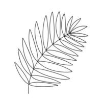 Palme Baum Blatt Gekritzel Illustration. Vektor Hand gezeichnet Palme Baum Blatt isoliert