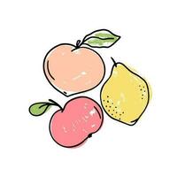Vektor einstellen von Hand gezeichnet Früchte mit Blätter auf ein Weiß Hintergrund. Apfel, Zitrone und Pfirsich Hand gezeichnet Symbole. naiv Zeichnungen Komposition.