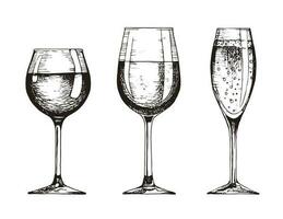 uppsättning av vinglas. röd vin, vit vin och champagne. vektor illustration i hand dragen retro stil